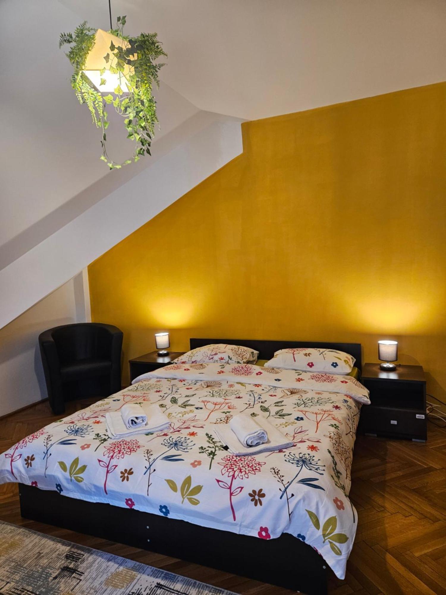 Apartment Zarnesti City Centre Vmp Free Parking المظهر الخارجي الصورة