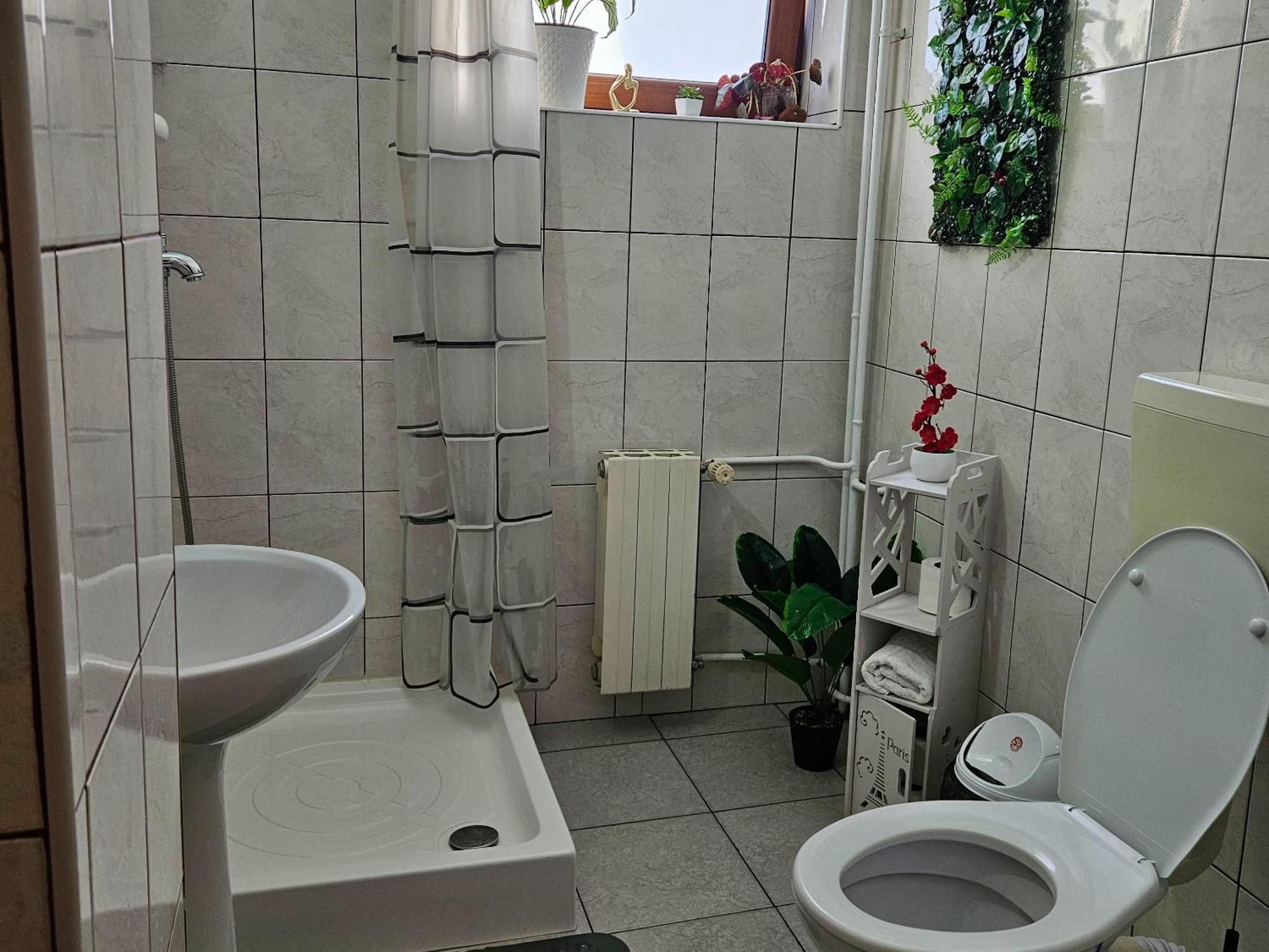Apartment Zarnesti City Centre Vmp Free Parking المظهر الخارجي الصورة